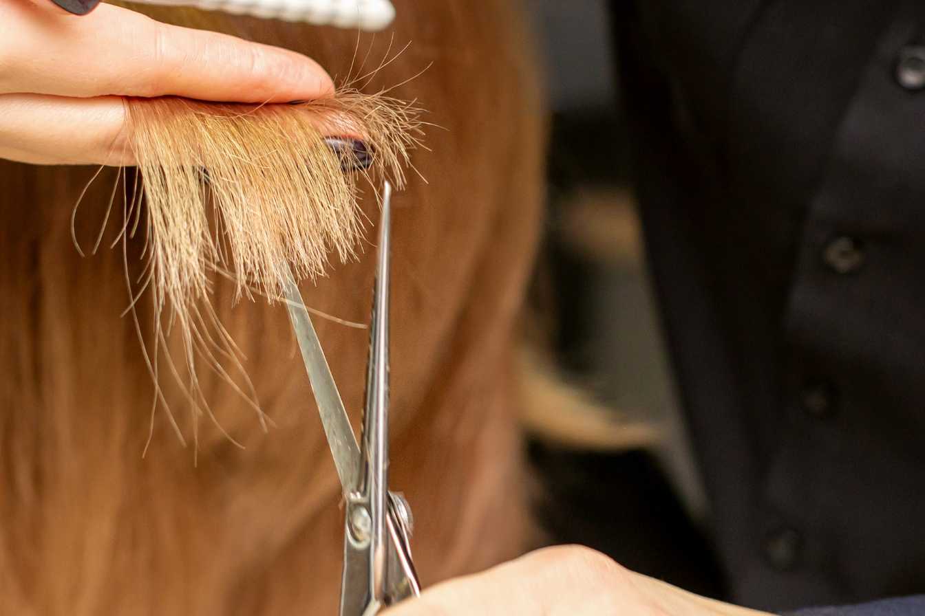 comment-faire-une-coupe-buzz-cut-2